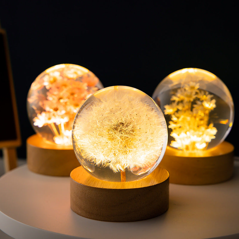 Luminous 3D Dandelion Daisy Preserved Flowers Light Desktop Ornament