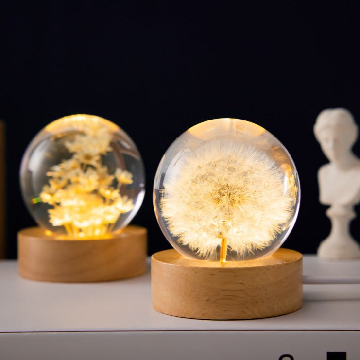 Luminous 3D Dandelion Daisy Preserved Flowers Light Desktop Ornament