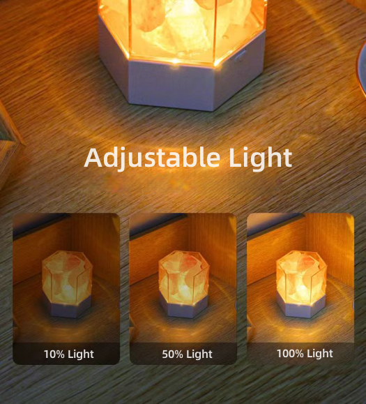 Salt Lamp with Adjustable Light Novelty Lamp
