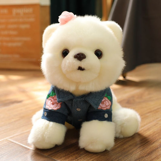 Pomeranian