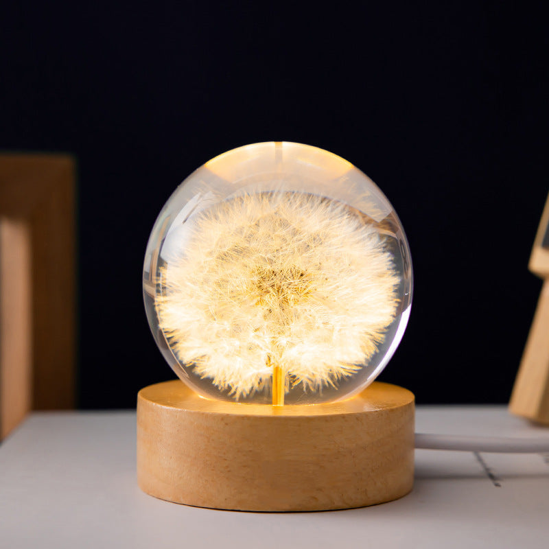 Luminous 3D Dandelion Daisy Preserved Flowers Light Desktop Ornament